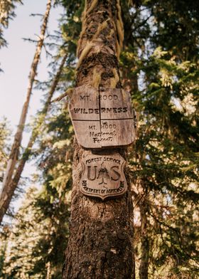 Mt. Hood Wilderness Sign