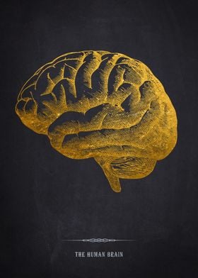 Golden Human Brain Illustration