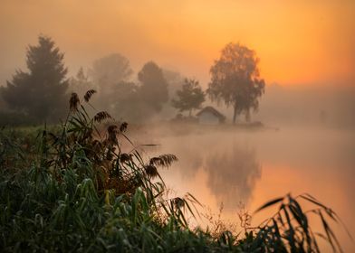 Misty Lake Sunrise