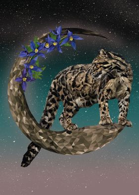 Clouded Leopard on Crescent Moon