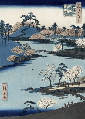 Cherry Blossom Landscape