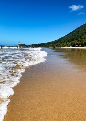 Ellis Beach Tropical North Queensland