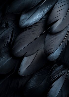 Black Feathers Texture