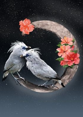 Bali myna on Crescent Moon