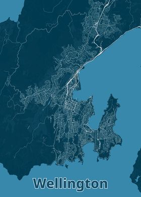 Wellington City Map