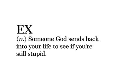 Ex Definition