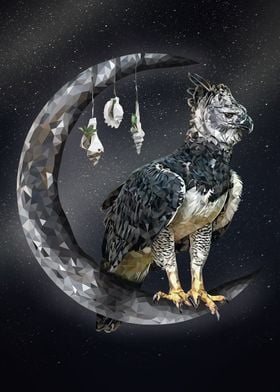 Harpy Eagle on Crescent Moon