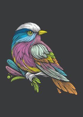 Colorful Bird Illustration