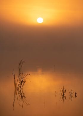 Sunrise Over Foggy Lake