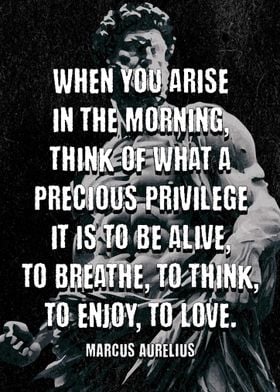 Marcus Aurelius Morning Motivation