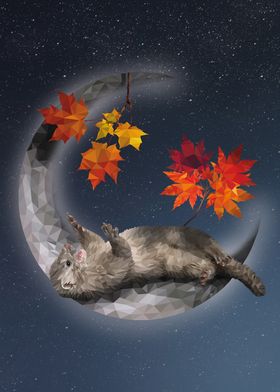 Ferret on Crescent Moon