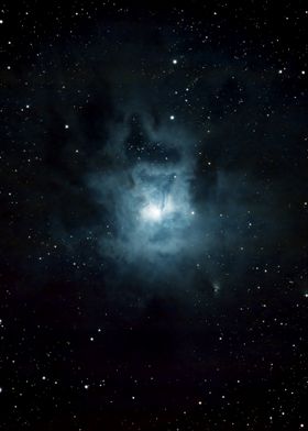 NGC7023 - The Iris Nebula