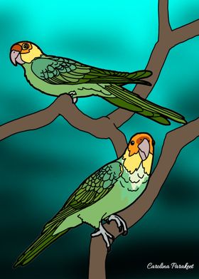 Carolina Parakeets