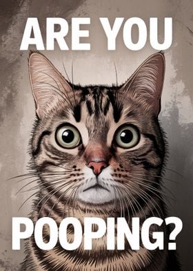 Cat Meme Poster