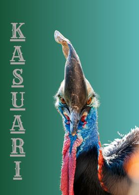 Cassowary Portrait