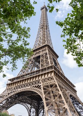 Eiffel Tower View