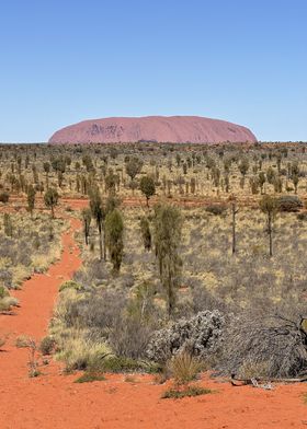 Uluru Ayers Rock Landscape Australia