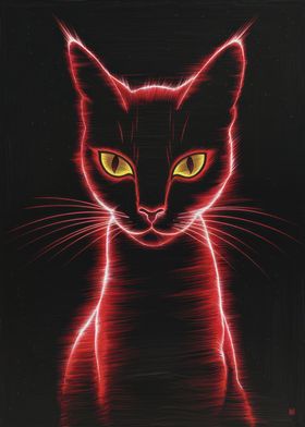 Red Cat in Darkness