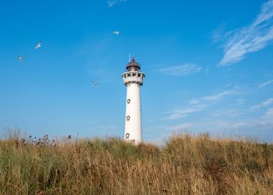 Lighthouse on a Sunny Day