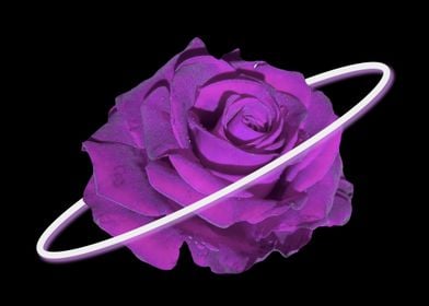 Purple Rose Planet