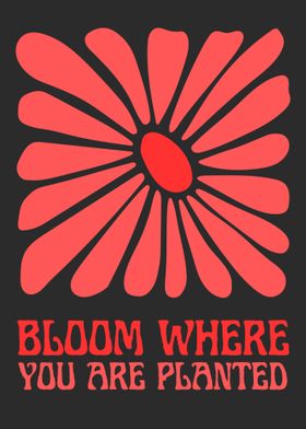 Bloom Where You Are Planted