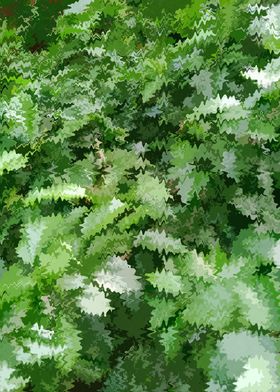 Abstract Green Foliage