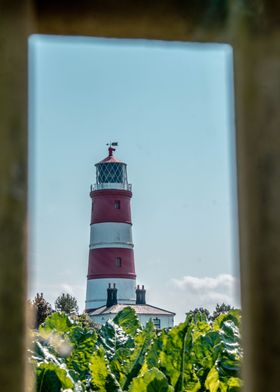 Lighthouse Through Foliage