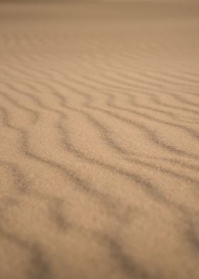 Sand Dune Texture