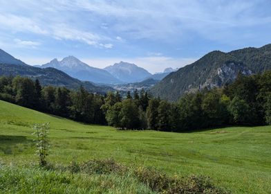 Mountain View Landscape