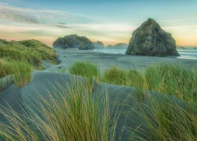 Seagrass Dunes at Sunrise