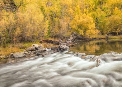 Autumn River Scene