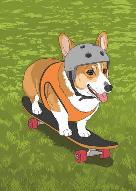 Corgi Skateboarding