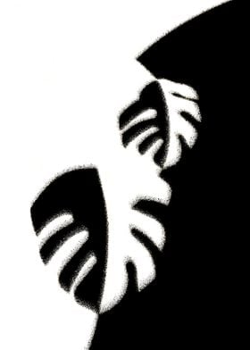 Black and White Monstera Leaf