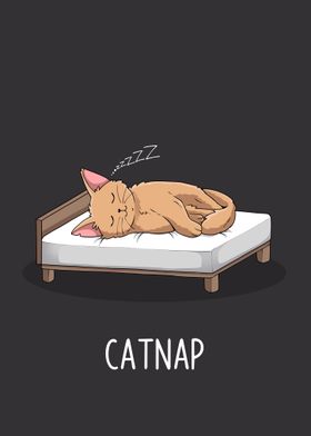 Catnap Funny Pun