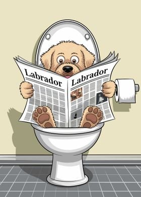 Labrador on Toilet