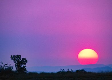 South Africa, Eastern Cape, Addo Elephant National Park, sunset