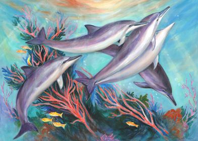 Dolphins in Coral Reef