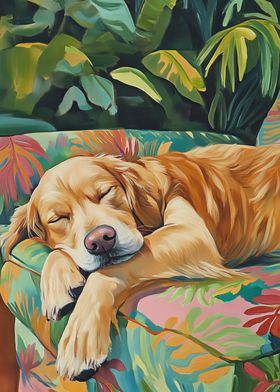 Sleeping Golden Retriever 