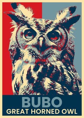 Great Horned Owl Face Poster