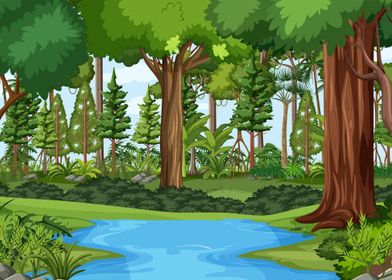 Forest Stream Landscape