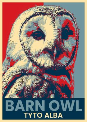 Barn Owl Face Poster