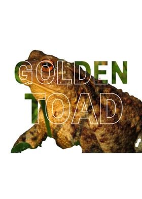 Golden Toad Graphic