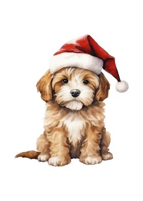 Christmas Puppy 