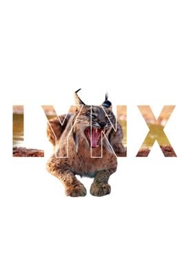 Lynx Animal Graphic