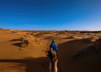 Camel Ride in the Desert