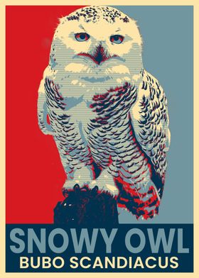 Snowy Owl Poster