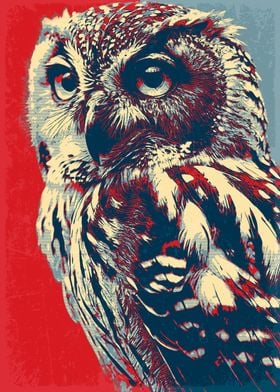 Boreal Owl in retro