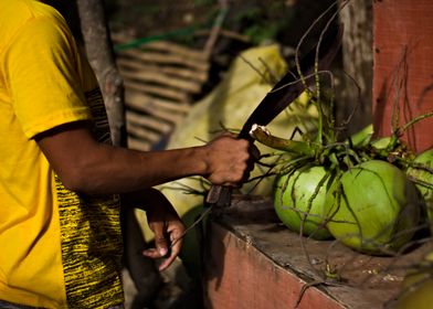 Cutting Coconuts in Philippines