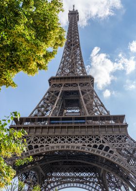 Eiffel Tower View