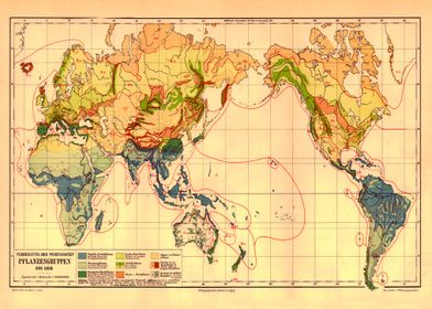 Poster Map Plant Groups of the Earth | Vintage Botany German